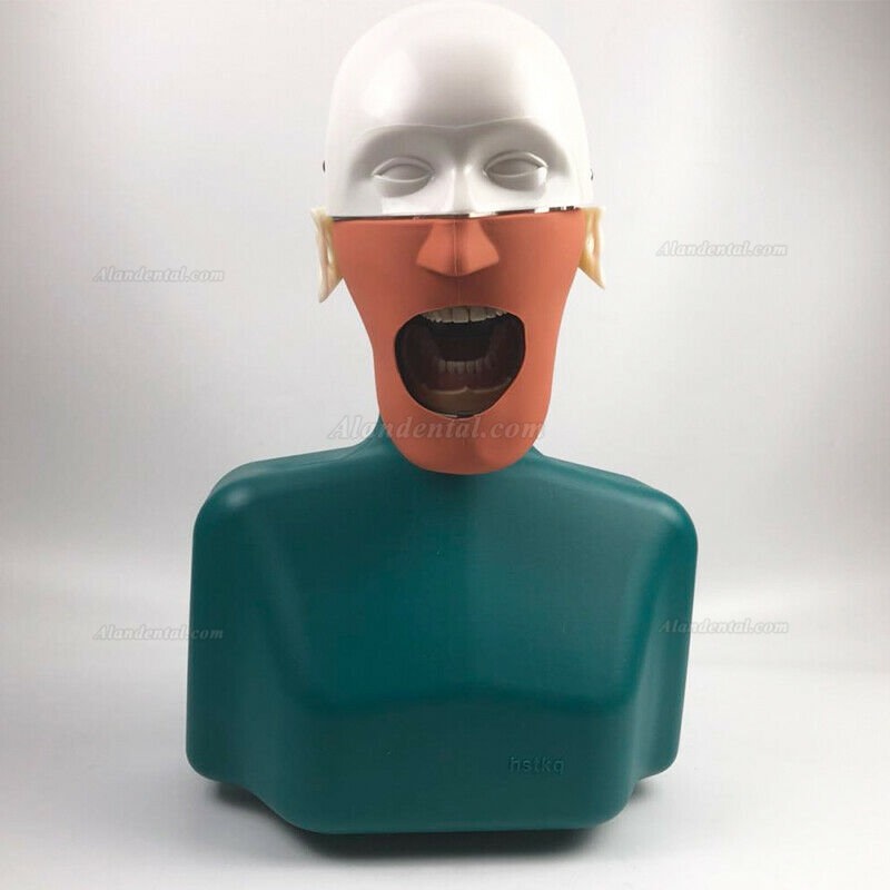 Jingle JG-C1 Dental Practice Model Head Clamp Type Simulation Phantom Head (Compatible with Nissin Kilgore/Frasaco)